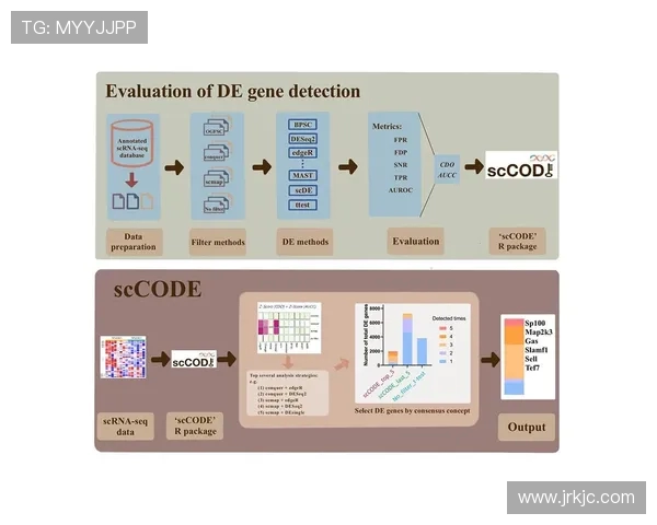 重庆排球队团队协作表现的数据分析与提升策略探讨